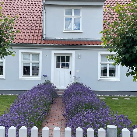 Haus Vicus Leilighet Greifswald Eksteriør bilde