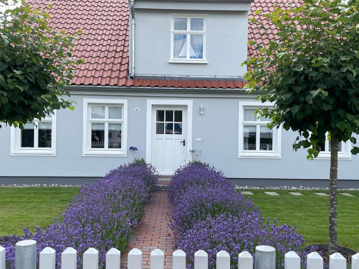 Haus Vicus Leilighet Greifswald Eksteriør bilde