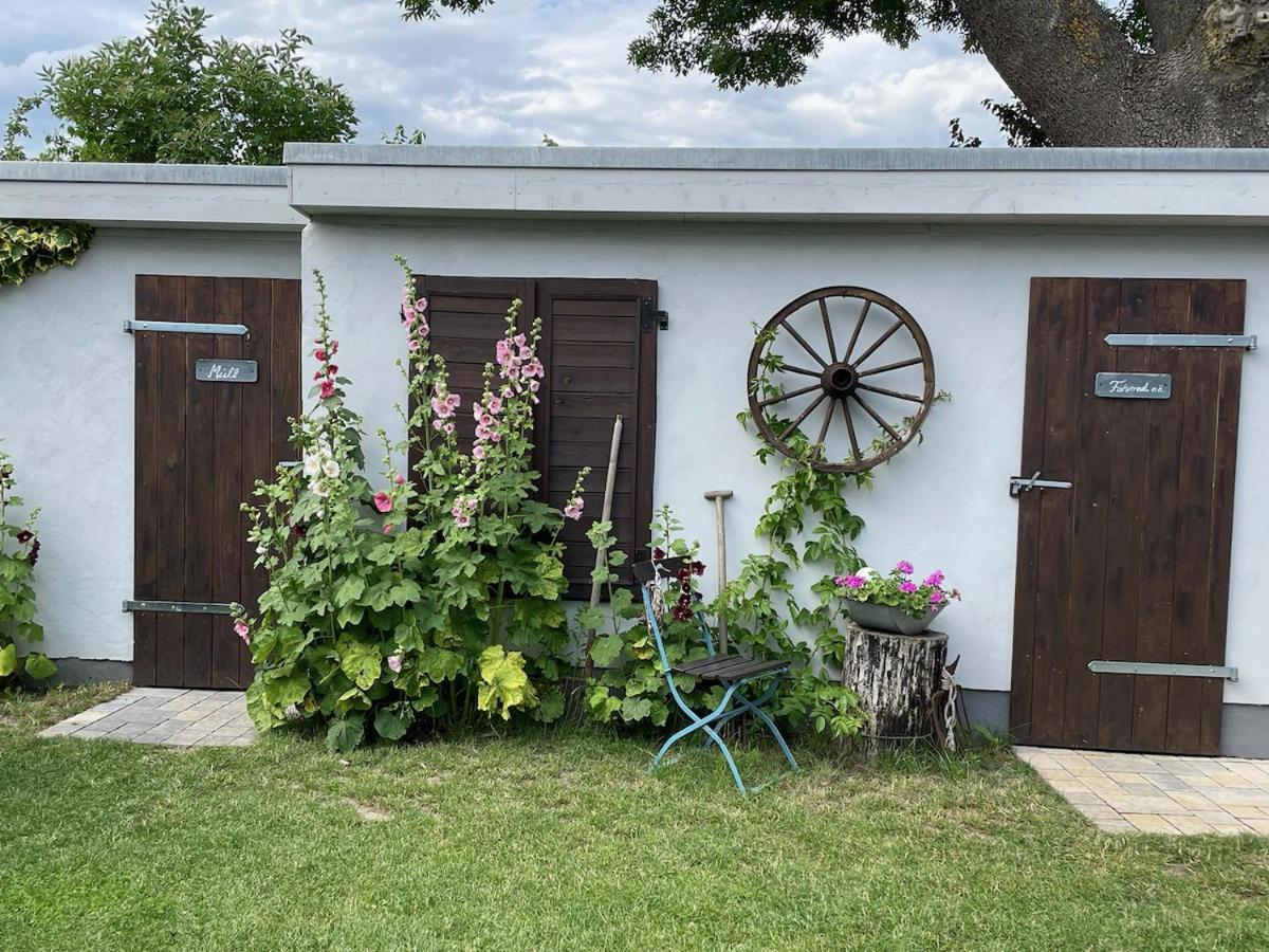 Haus Vicus Leilighet Greifswald Eksteriør bilde